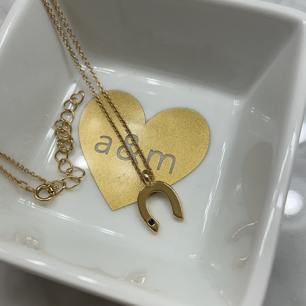 Horseshoe gold plated necklace